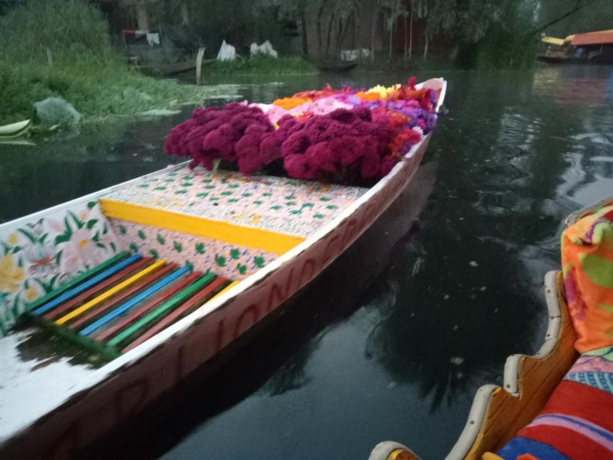 Srīnagar Umbrella Group Of House Boat酒店 外观 照片